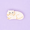 Chat persan